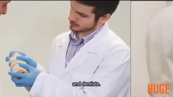 巨大な合成ポリマー歯-KAILI