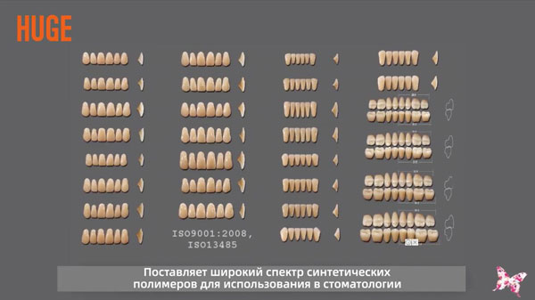 巨大な合成ポリマー歯-Sonning